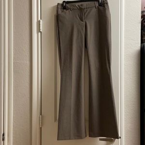 Express Dress Pants
